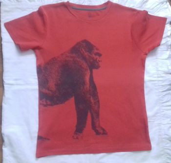 1 tee-shirt manche courte garçon 14 ans 