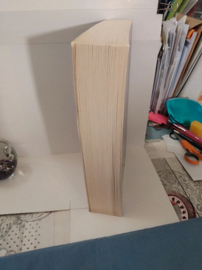 Voile rouge - photo numéro 3