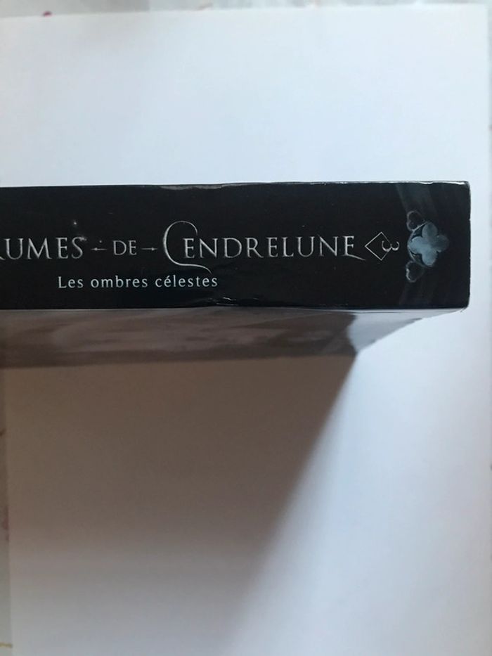 Livre « Les brumes de Cendrelune » de Georgia Caldera - photo numéro 2