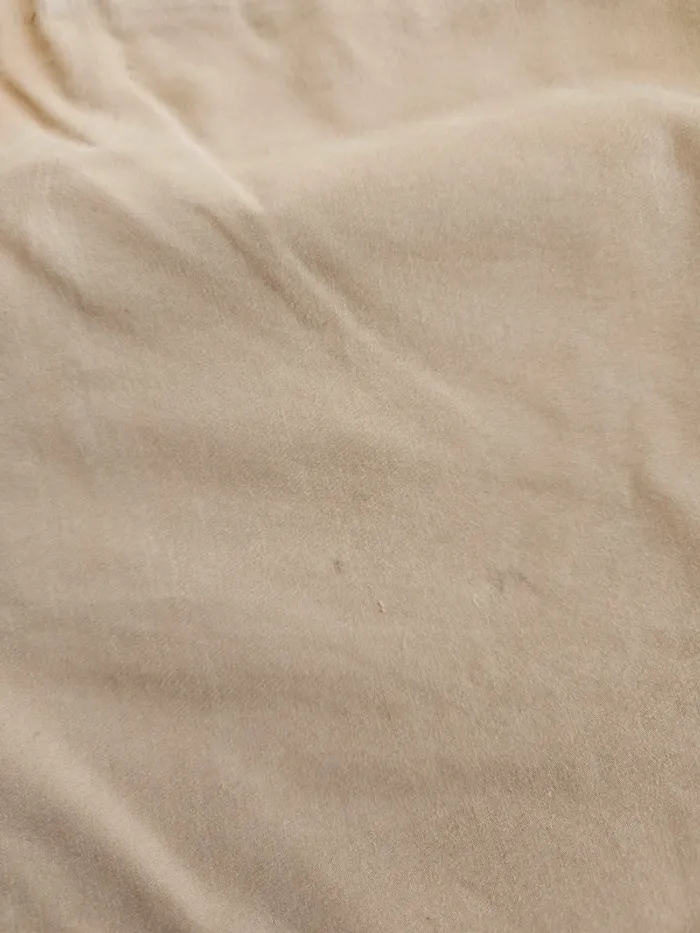 Short camel - photo numéro 3