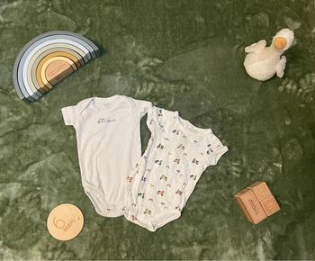 Lot de 2 bodys manches courtes