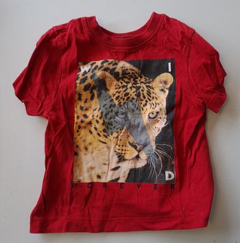 Lot tee shirt manche courte 2 ans