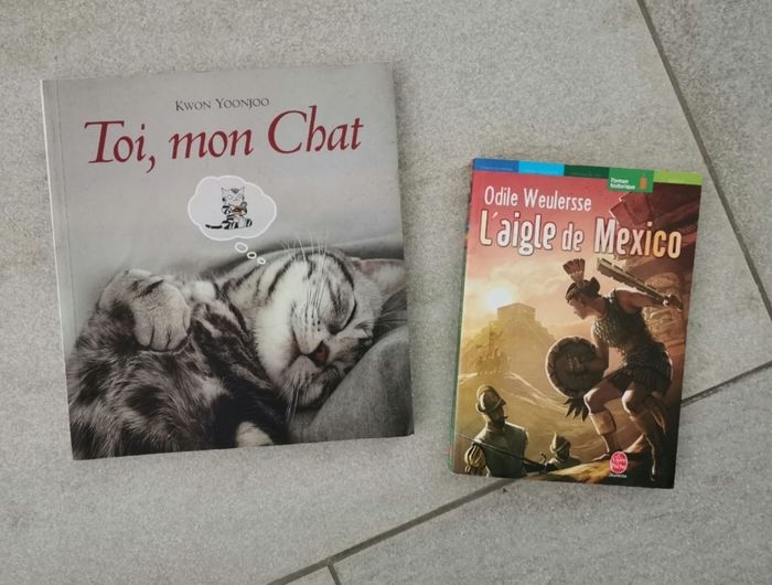 Donne livre - photo numéro 8