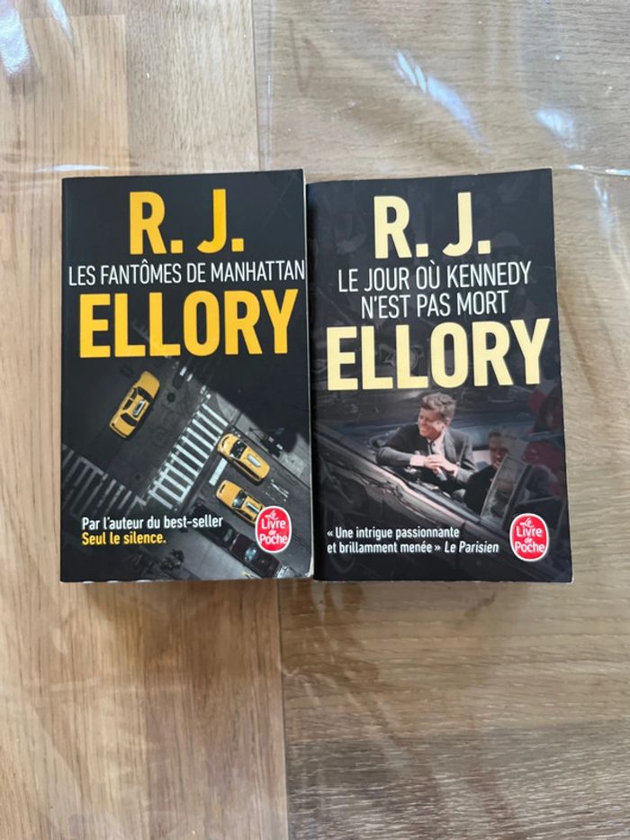Lot 2 livres R J Ellory