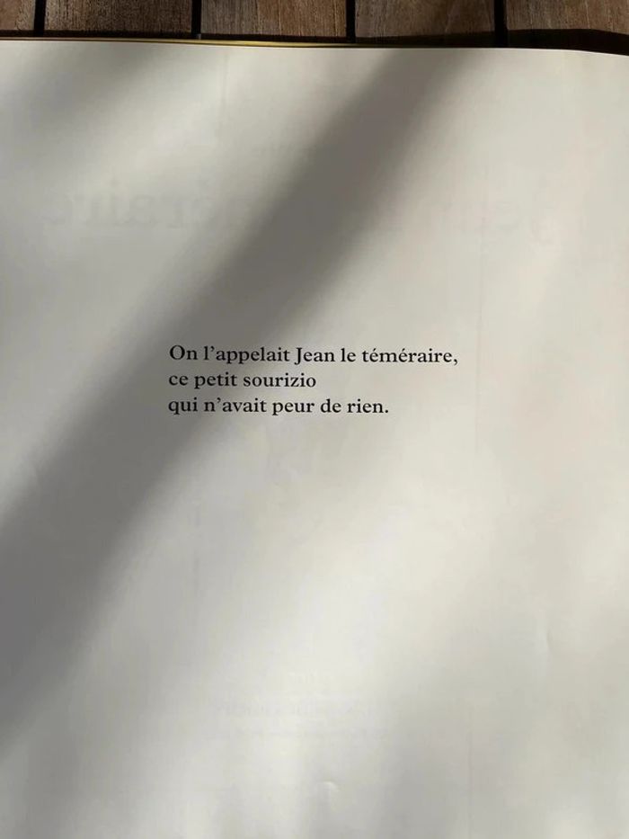 livre Jean le téméraire - photo numéro 4