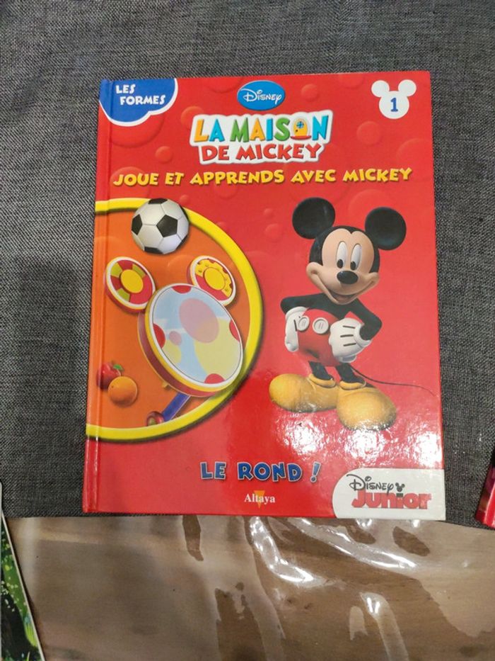 Livre Mickey - photo numéro 2