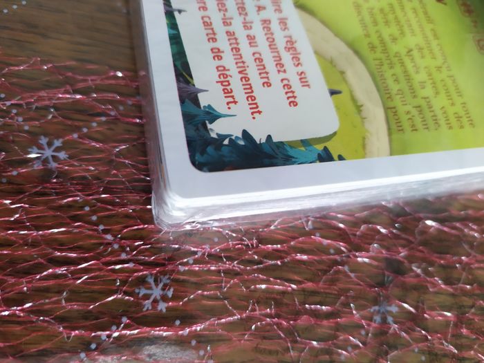 2 Jeux Detecteam Family - photo numéro 7