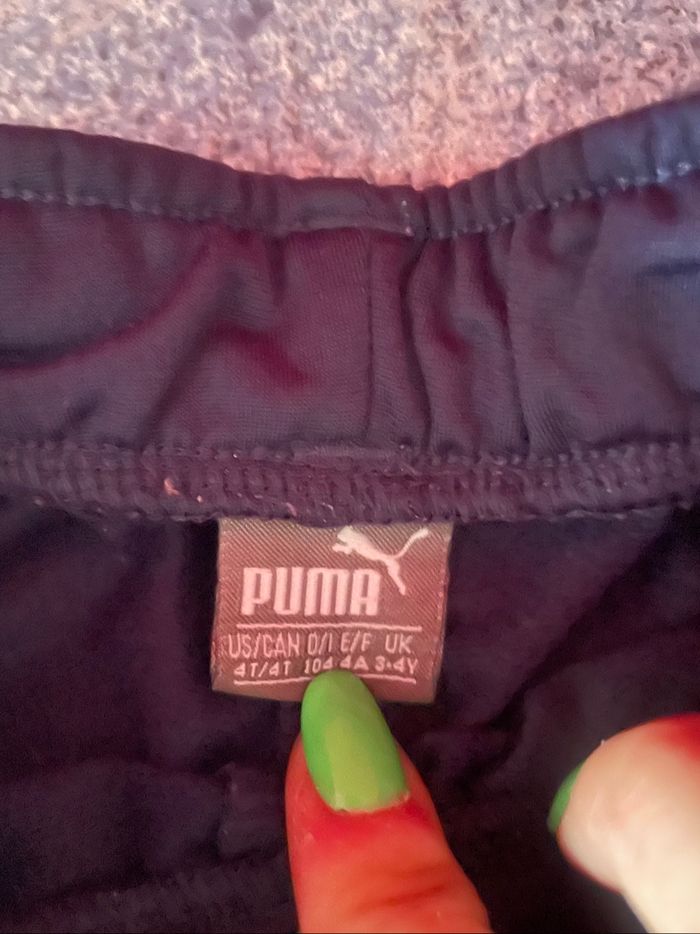 Ensemble puma - photo numéro 3