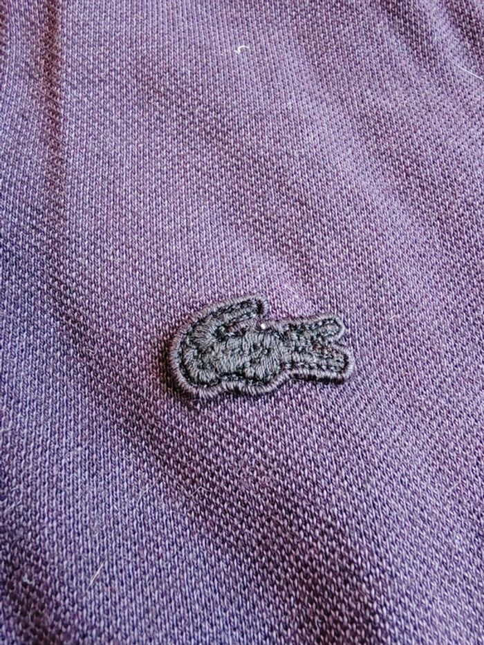 Polo Lacoste - photo numéro 3