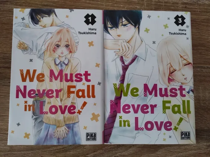 Manga we must never fall in love