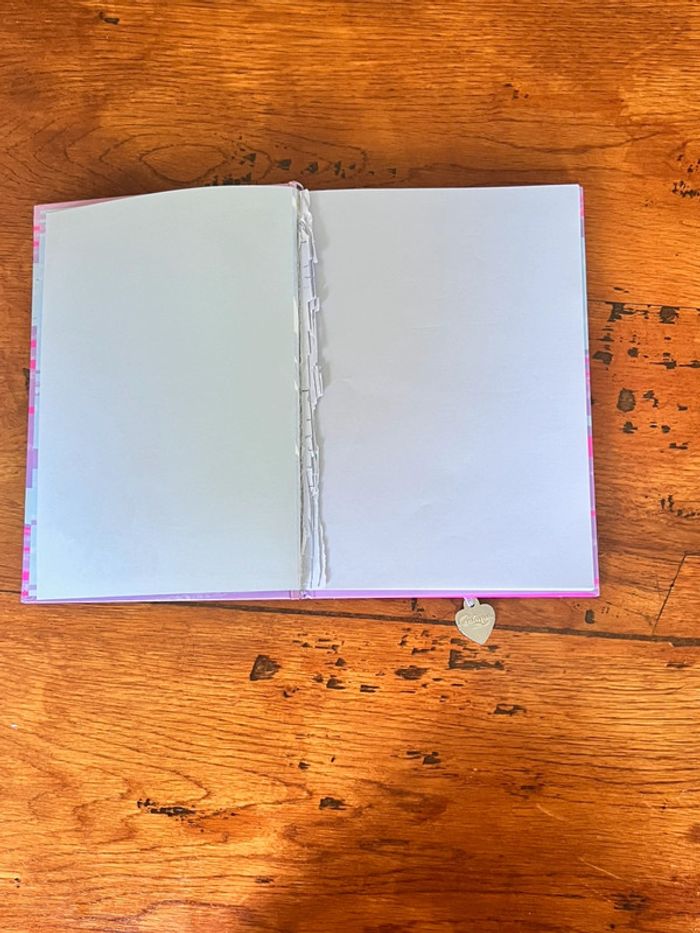 Carnet Diddl Galupy - photo numéro 5