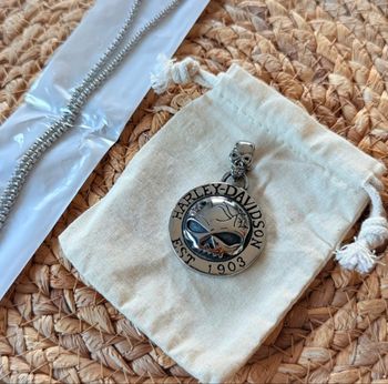 Pendentif avec chaine métal HD 🖤 avec sa pochette 29€
