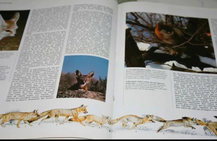 livre - photo numéro 2