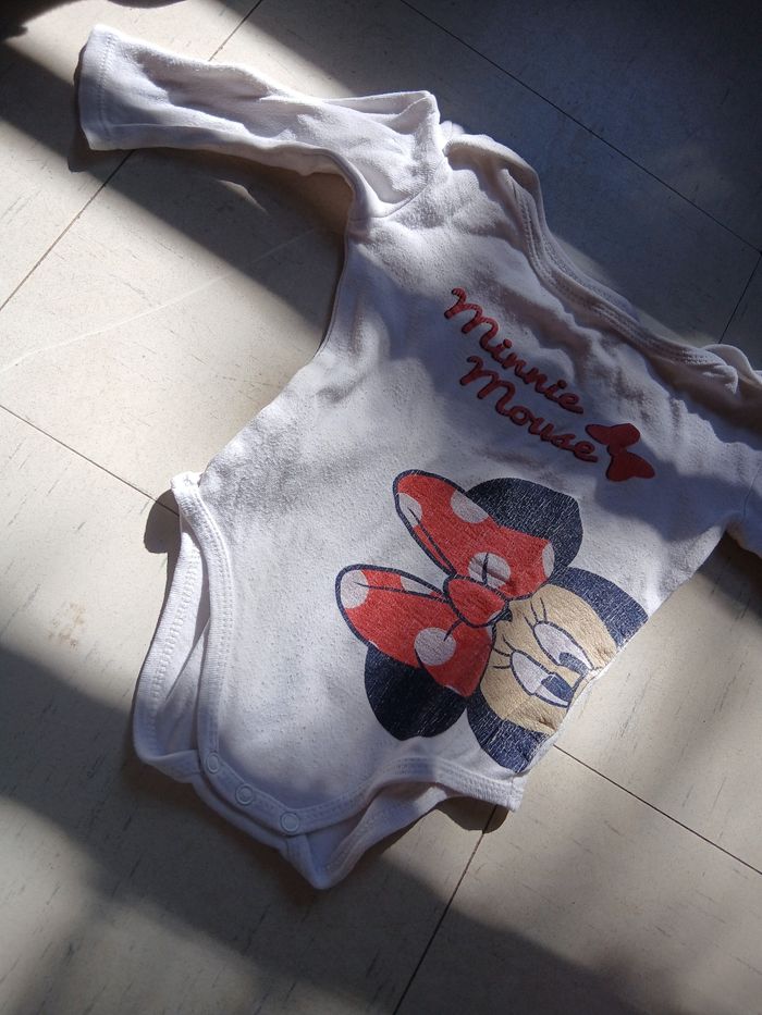 Bodies