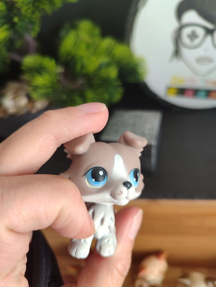 My Littlest Petshop Pet Shop LPS Authentic Authentique Dog Collie Colley 67 - photo numéro 8