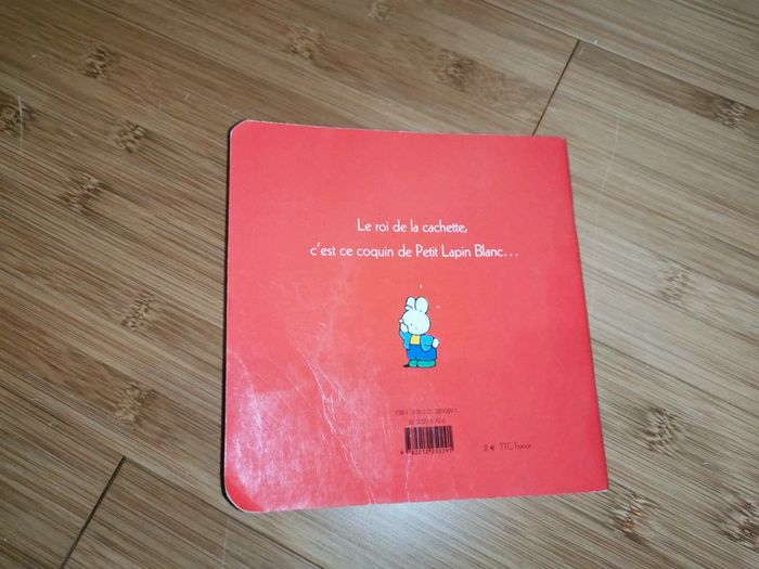 Petit Lapin Blanc est un coquin - photo numéro 18