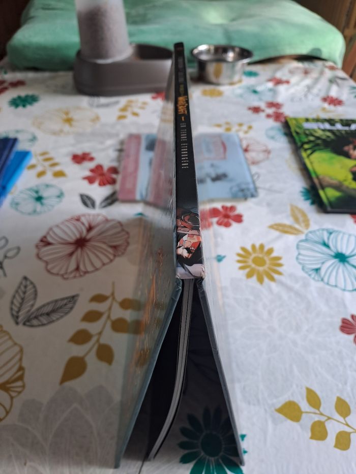 World of warcraft, tome 1, en terre étrangère - photo numéro 6