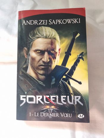 Sorceleur tome 1 le dernier vœu