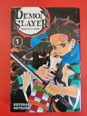 Livre démon slayer