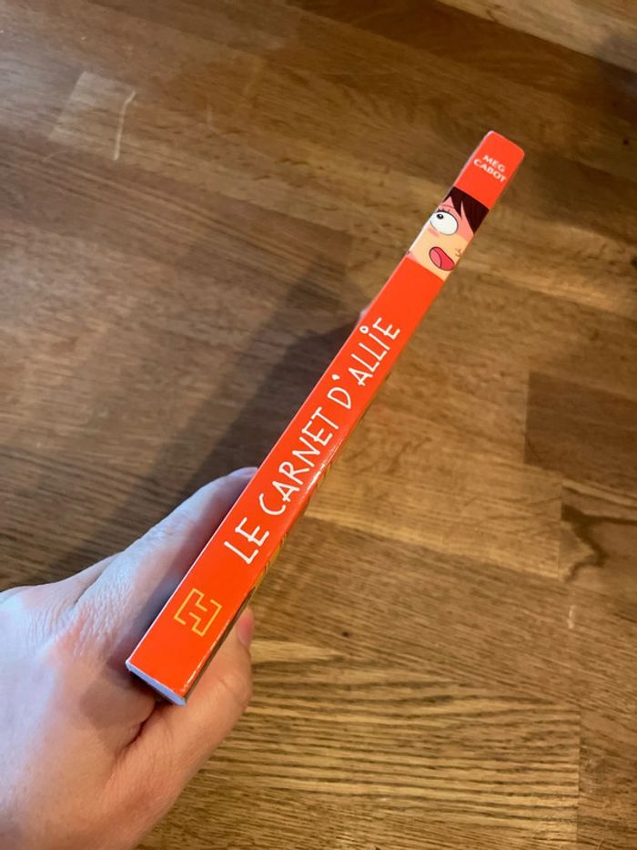 Livre Le carnet d’Allie La sortie - photo numéro 2