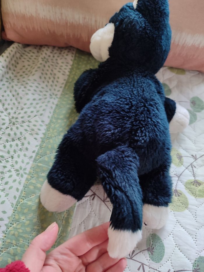 Figaro Pinocchio - photo numéro 3