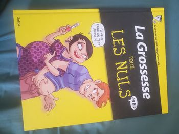 La grossesse pour les nuls en bd