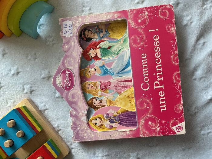 livre comme une princesse ! - photo numéro 2