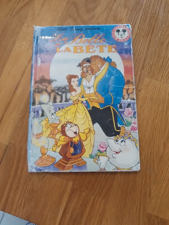 Lot livres disney - photo numéro 16
