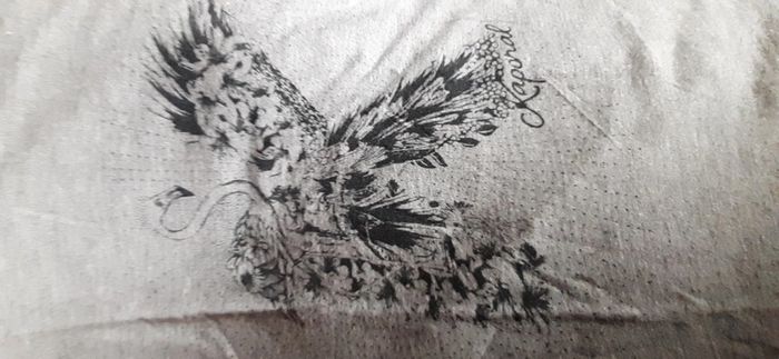 Tee-shirt gris 14 ans Kaporal - photo numéro 5