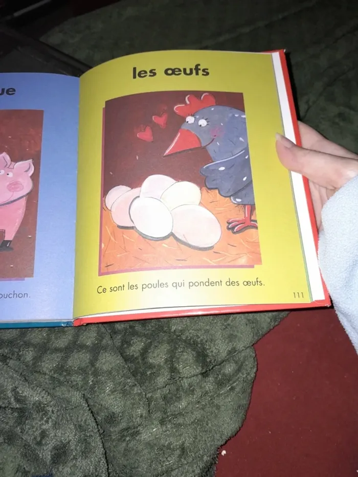 Livre imagier - photo numéro 3