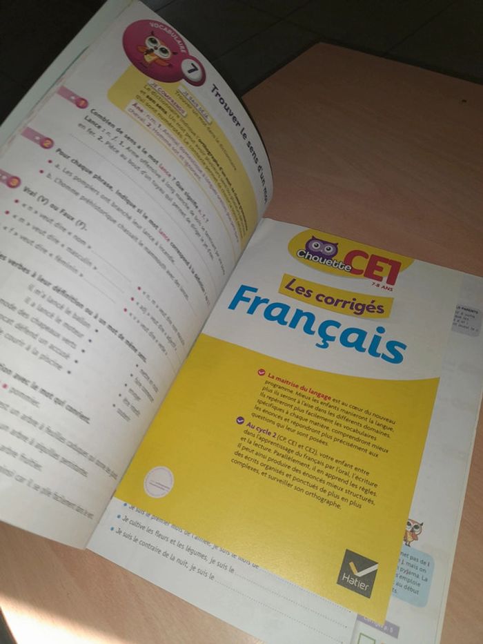Chouette Ce1 français - photo numéro 4