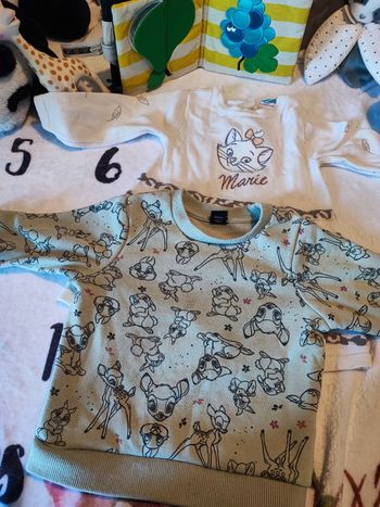 Pull bébé fille Disney