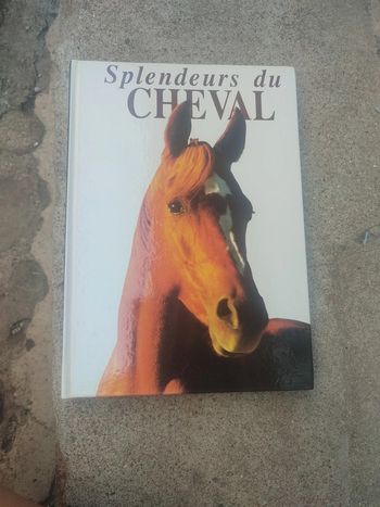 Livre la splendeurs du cheval