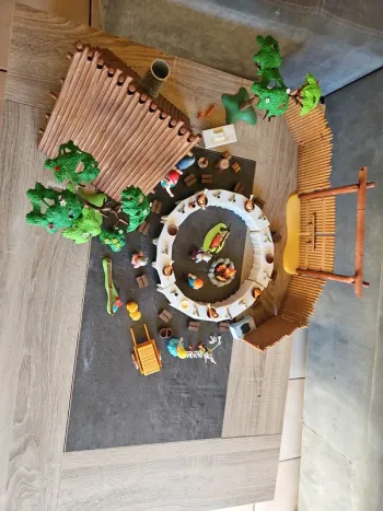 Village playmobil astérix et obelix