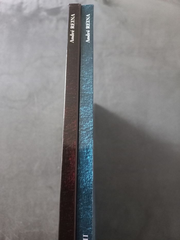 Lot 2 bd le monde des dragons clair de lune tome 1 et 2 - photo numéro 4