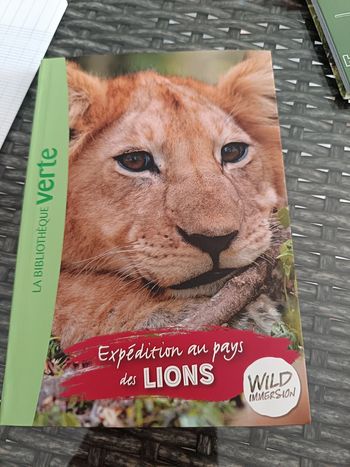 Wild immersion tome 1