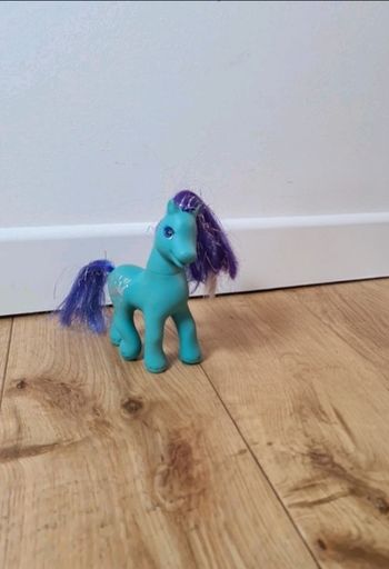 Petit poney