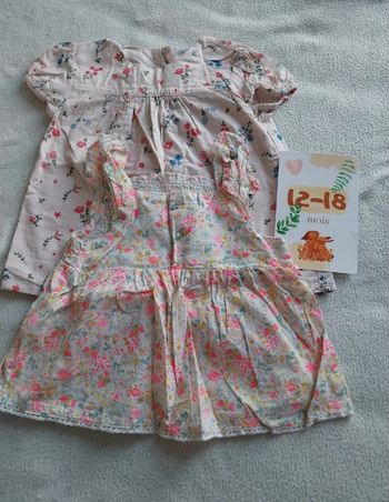 Lot 2 t-shirt 12-18 mois 