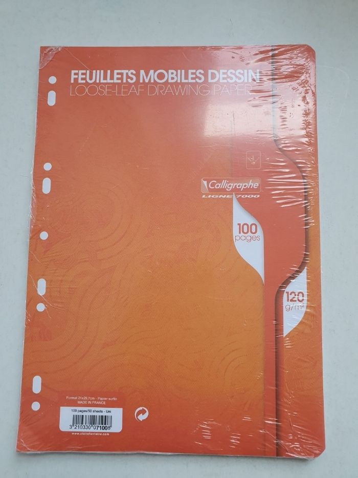 100 feuillets mobiles destinés 21x29.7 perfores