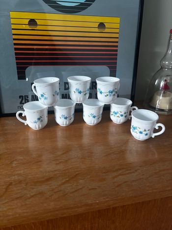 Vintage lot de 8 tasses à expresso Arcopal véronica myosotis 