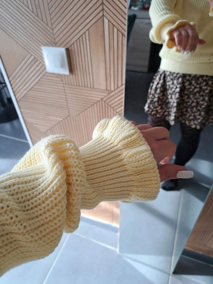 Magnifique Pull - photo numéro 2