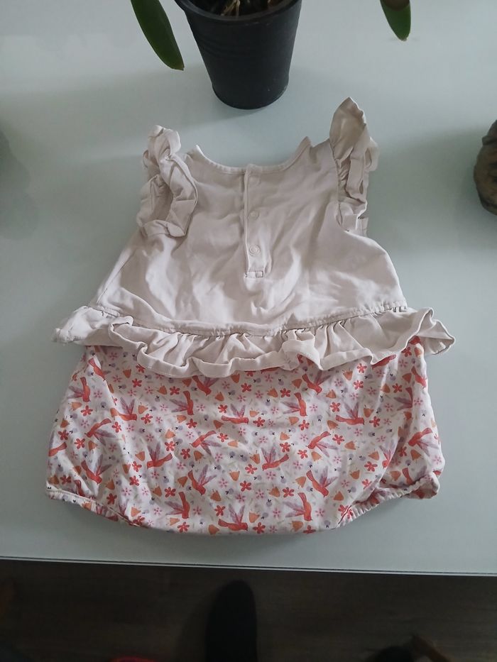 BARBOTEUSE COLIBRI DPAM - photo numéro 3