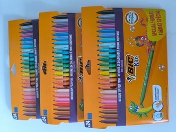Lot 3 x 24 feutres bic