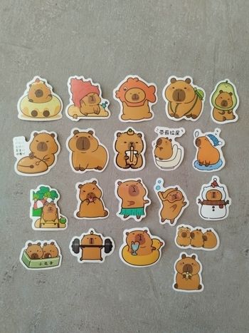 Lot x20 stickers autocollants Capybara