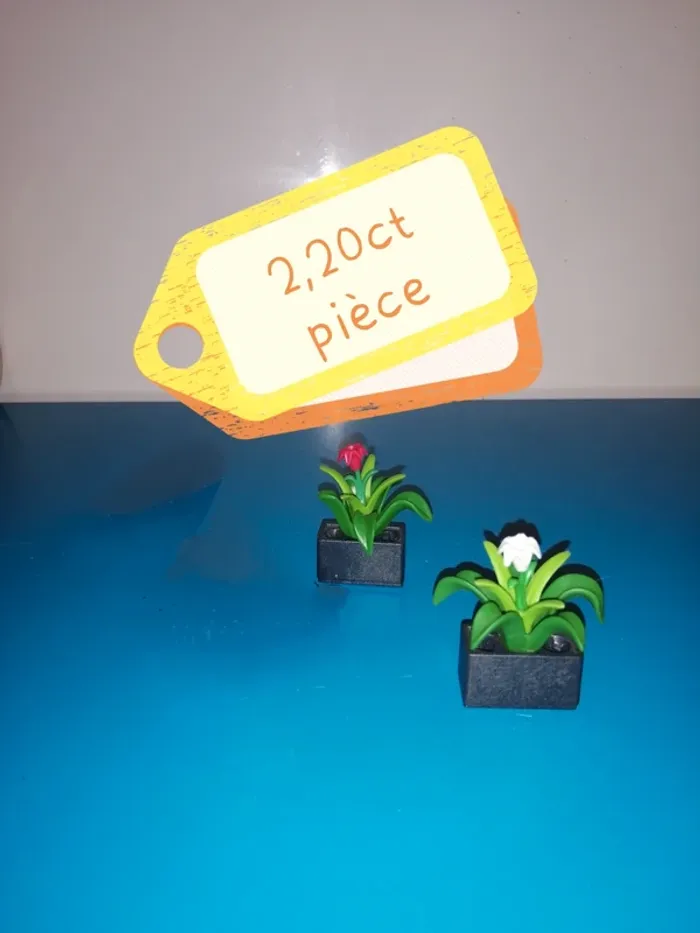 Thème* végétation / Pot & fleurs - photo numéro 3