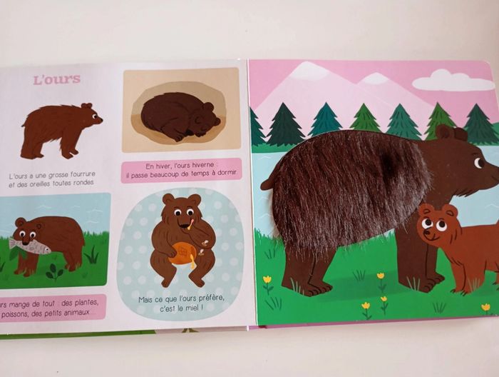 Les p'tits tout doux : les animaux de la montagne - photo numéro 4