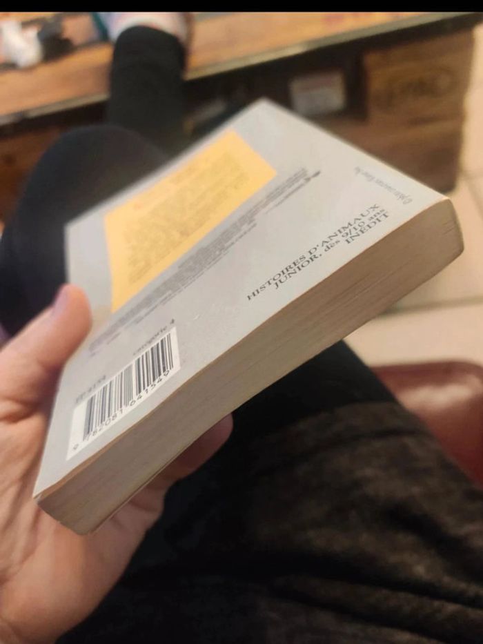 Sauvez Willy 2 Castor poche junior - photo numéro 5