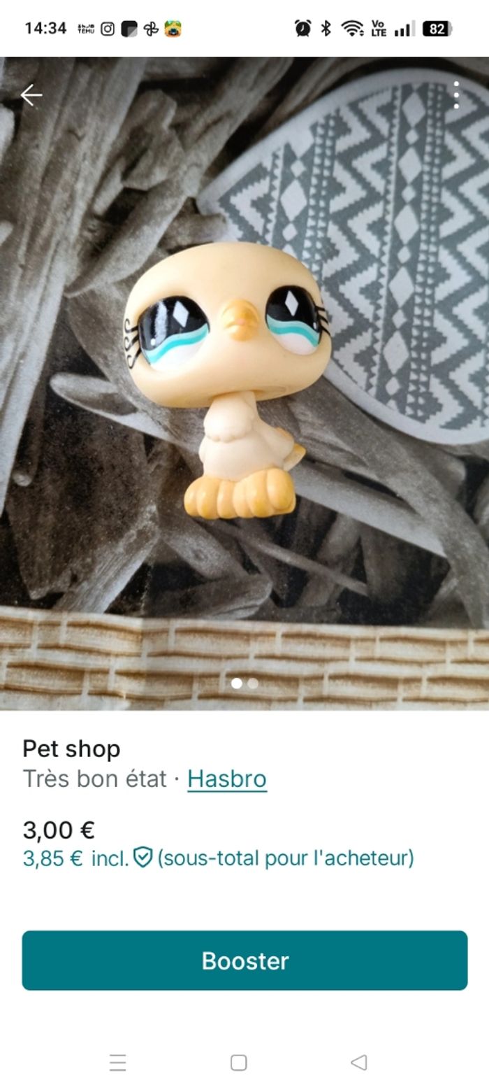 Pet shop - photo numéro 2