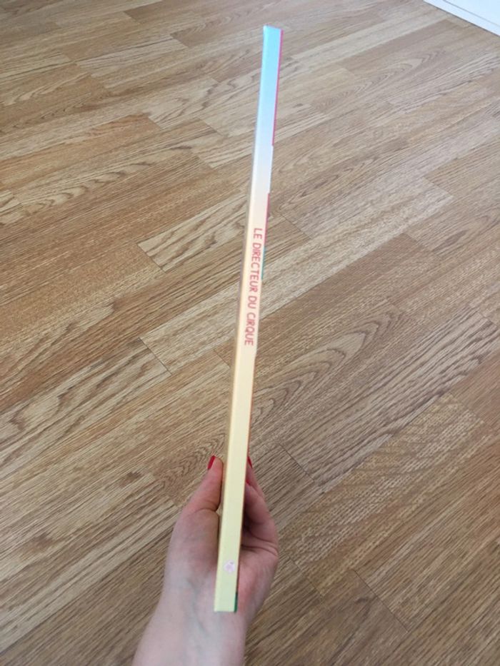 Le directeur du cirque - photo numéro 6