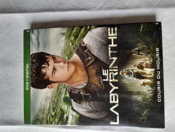 DVD le labyrinthe courir ou mourir